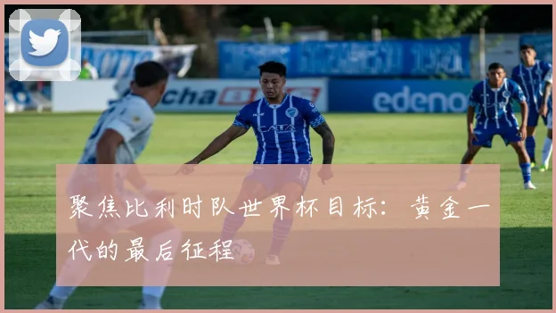 聚焦比利时队世界杯目标：黄金一代的最后征程